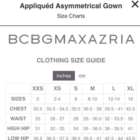 BCBG Max Azria Floral Sheer Embroidered Appliquéd Asymmetrical Gown Nude Pink - Picture 8 of 8